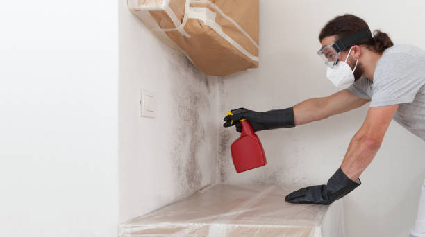 Professional Basement Mold Remediation technician working in Fayetteville, GA